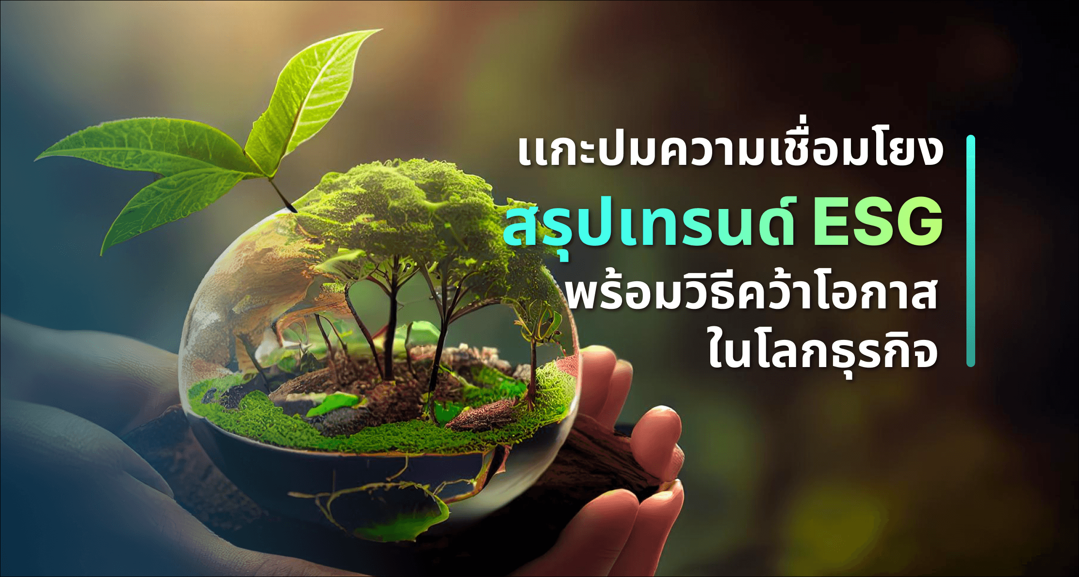 เเกะปมความเชื่อมโยง สรุปเทรนด์ ESG พร้อมวิธีคว้าโอกาสในโลกธุรกิจ